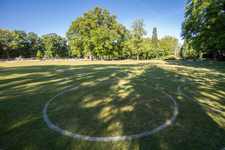 910042 Afbeelding van 'coronacirkels', geschilderd op het gras van het Julianapark te Utrecht. De cirkels zijn bedoeld ...